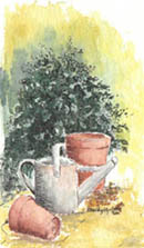 Garden Corner #1 (no 1 in a series) by Wendy Griffiths