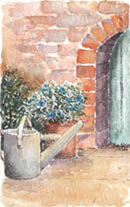 Garden Corner #5 by Wendy Griffiths - No 5 in a series