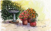 Garden Corner #10 by Wendy Griffiths - no 10 in a series