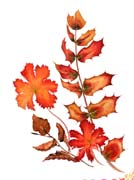 Autumn Leaves by Wendy Griffiths