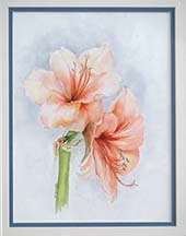 Peach Amarylis by Wendy Griffiths