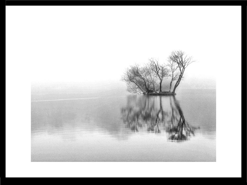 Mist at Bracebridge